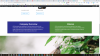 chrome_2018-11-20_10-30-36.png