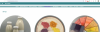 upload_2025-1-7_22-37-35.png