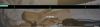 Screen Shot 2019-08-15 at 5.01.47 PM.png