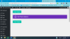 Divi Theme issue.png