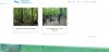 LL Disabled Older Blog Correct.JPG