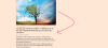 divi help.png