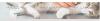 Screen Shot 2021-02-15 at 2.35.07 PM.png