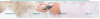Screen Shot 2021-02-15 at 1.23.26 PM.png