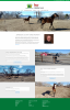 before scroll downscreencapture-tncs-support-horseprop-2021-05-09-16_29_01.png